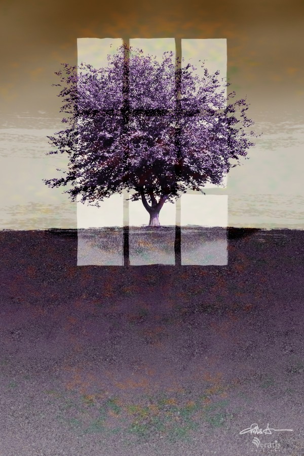 Window on a Purple Tree 2x3 by Veratis Editions